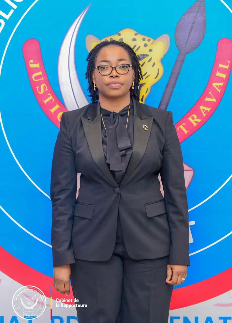 Image from SENAT RDC: *Session Parlementaire — Mars 2025* La Commission Infrastructures et ...