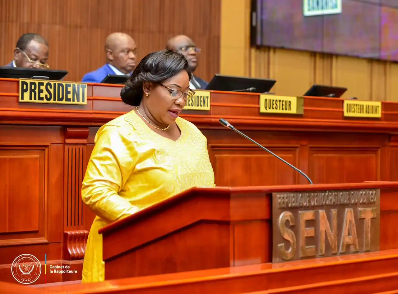 Image from SENAT RDC: *Session Parlementaire — Mars 2025* 🚨 *RDC | SÉNAT* 🚨 <a class="te...