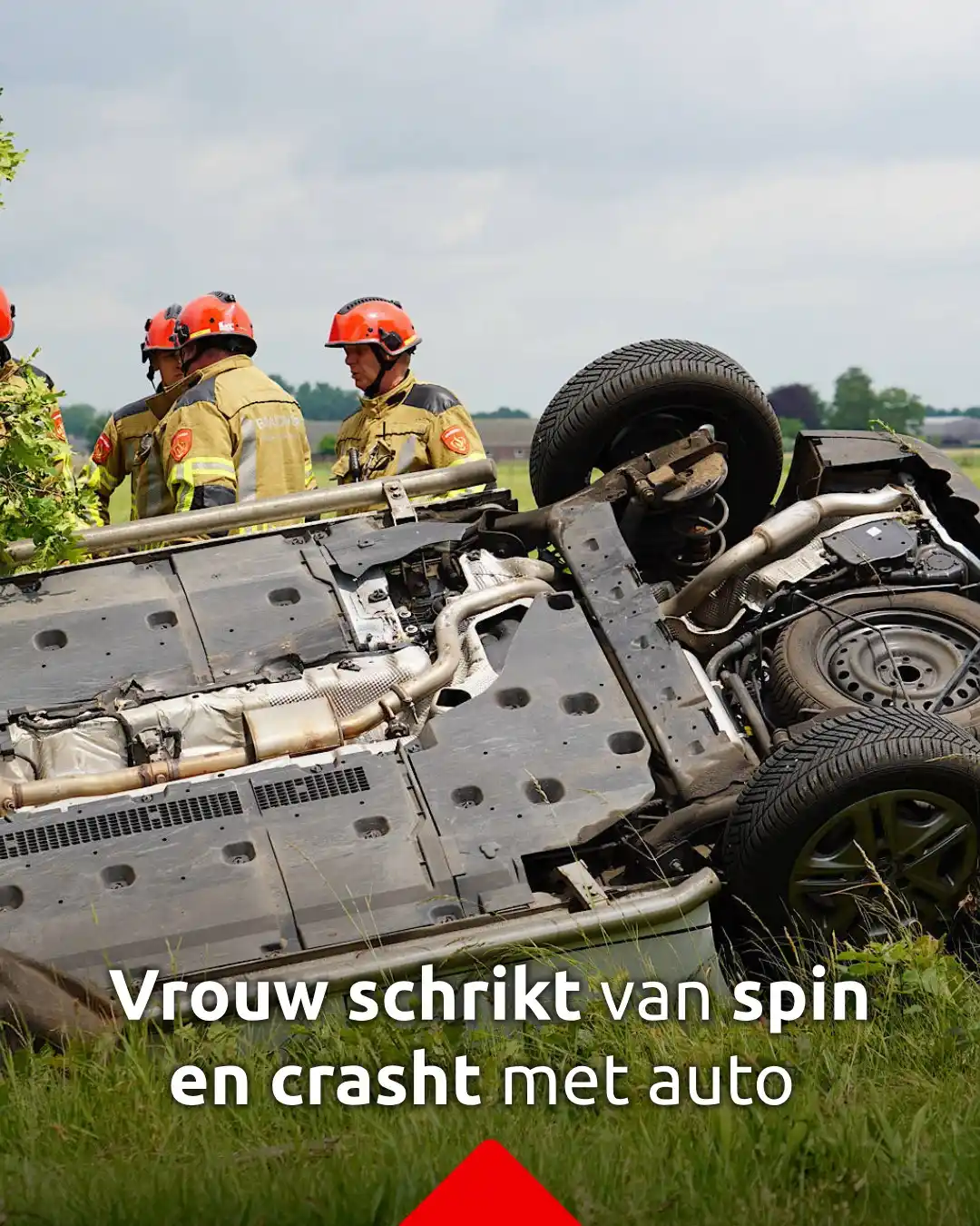 Image from Omroep Brabant: *Vrouw schrikt van spin en belandt met auto op de kop in de sloot* Ee...