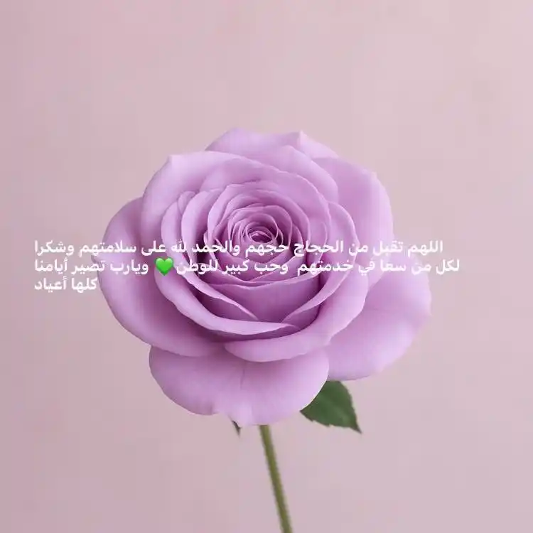 #أقلام_ومشاعر ✍🏼💓 post