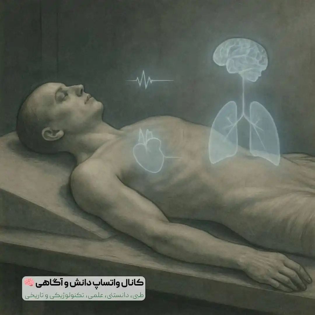 دانش و آگاهی 🧠 post