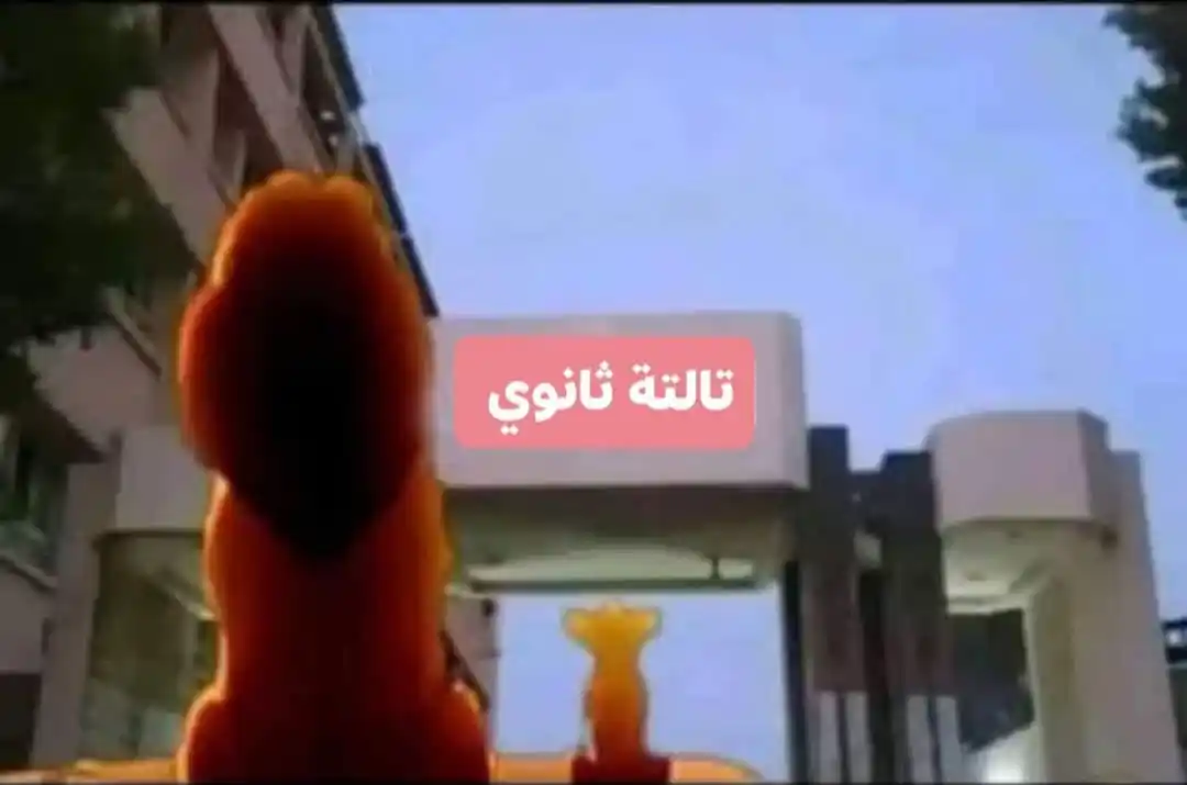 Image from لـو خـيـروگ💗.¹¹:¹¹||🎀 𝑺𝒆𝒆 𝒚𝒐𝒖: -هو اي المكان دا يبابا  -اوعي تقرب من المكان دا يا سيمبا عشان فيه ناس ...