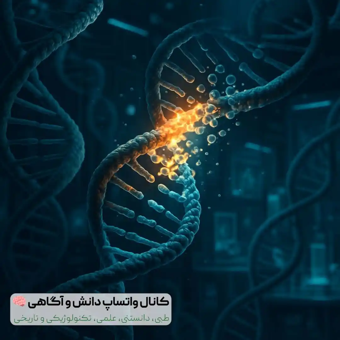 دانش و آگاهی 🧠 post