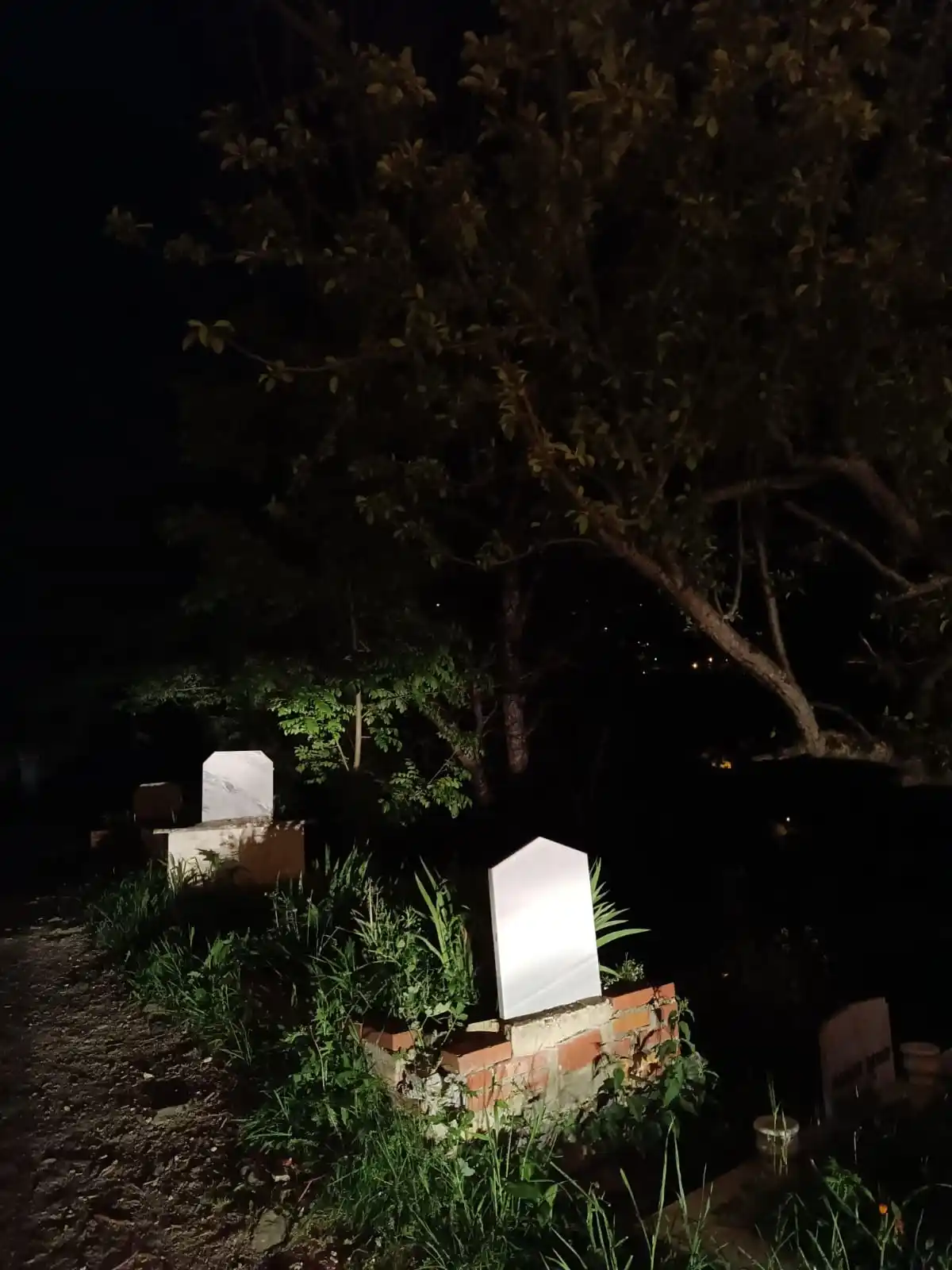 Nur-u Derya 📕 post