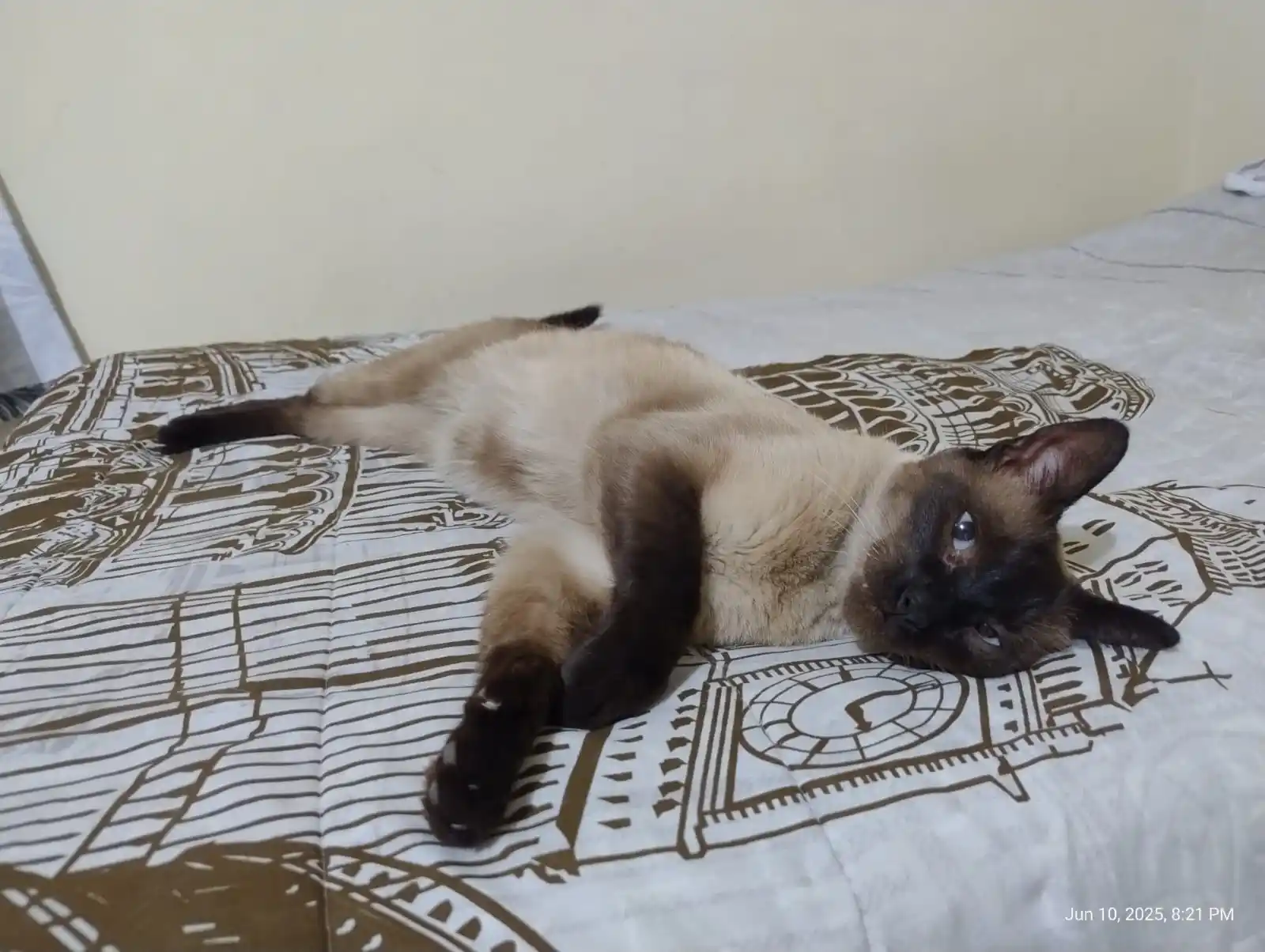 Fans De Nico & Anecdotas Random post