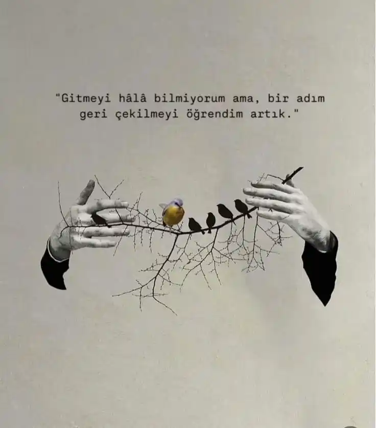 Image from 🍂 ZARİF KÖŞE 🍃: ✨ *Eyüp*...