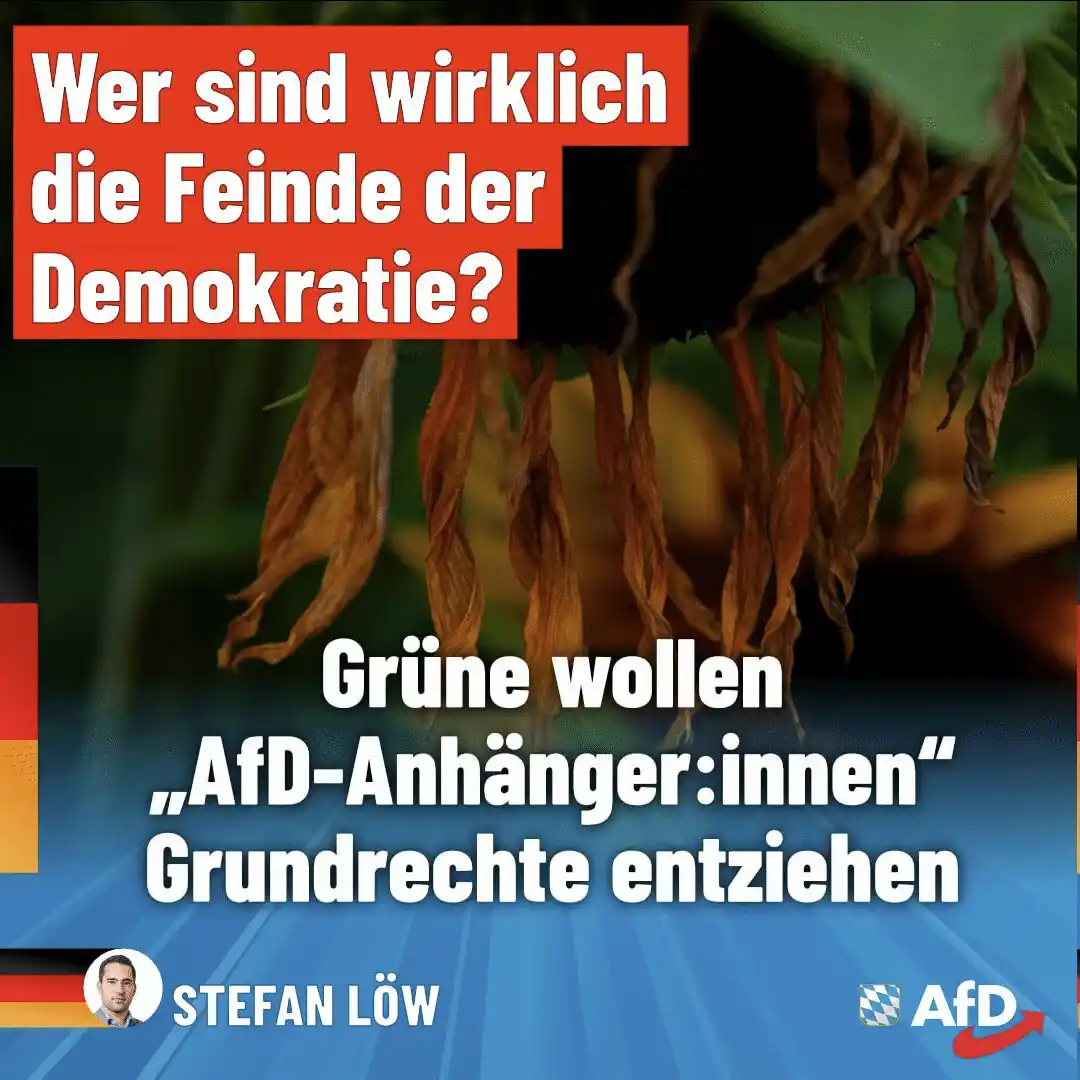 Image from AfD Weiden-Neustadt-Tirschenreuth: Grüne wollen AfD-Politikern die Grundrechte entziehen! Nach dem Demok...