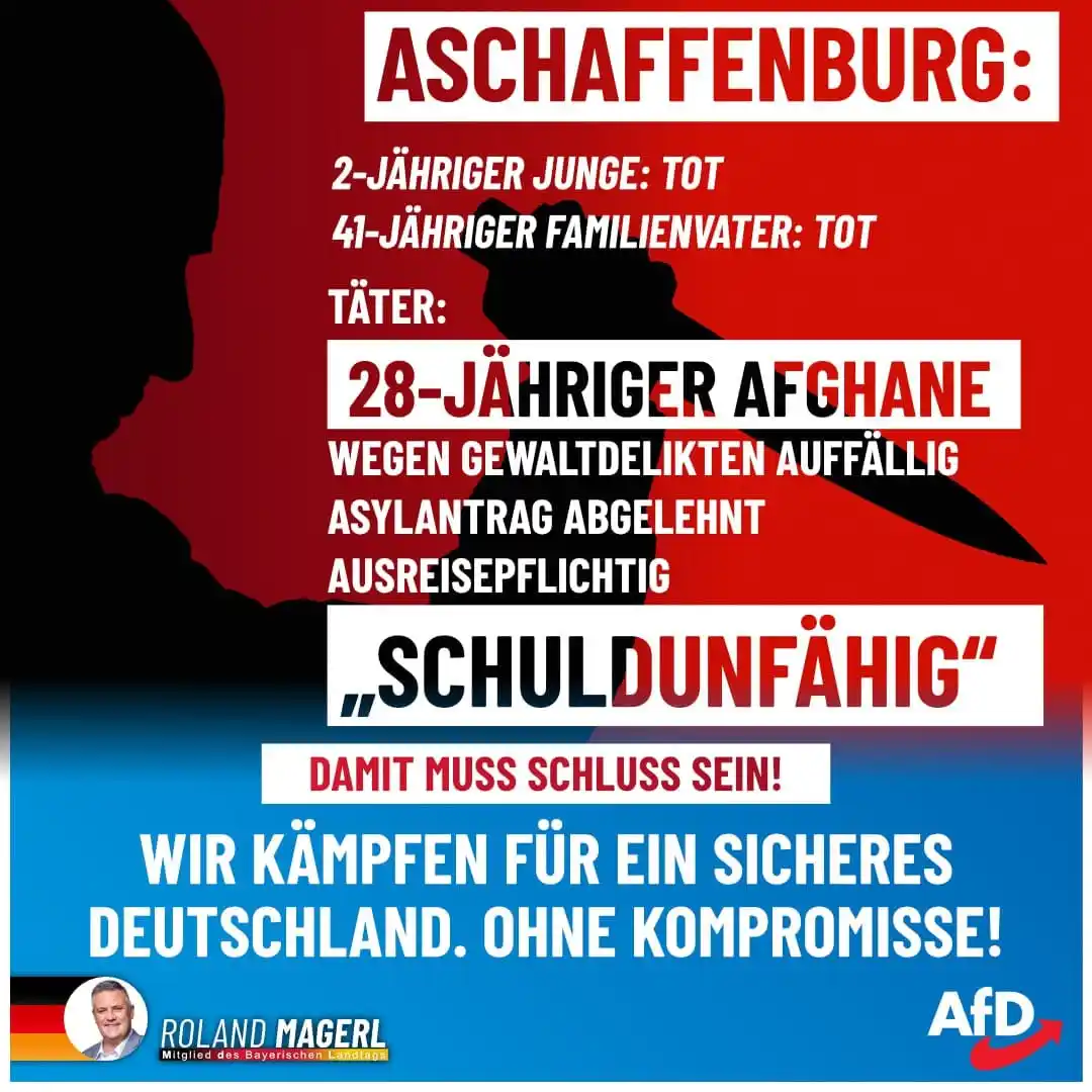 Image from AfD Weiden-Neustadt-Tirschenreuth: 🚨🔪 Messer-Mord in Aschaffenburg – der Staat versagt erneut! 🚨 Ein ...