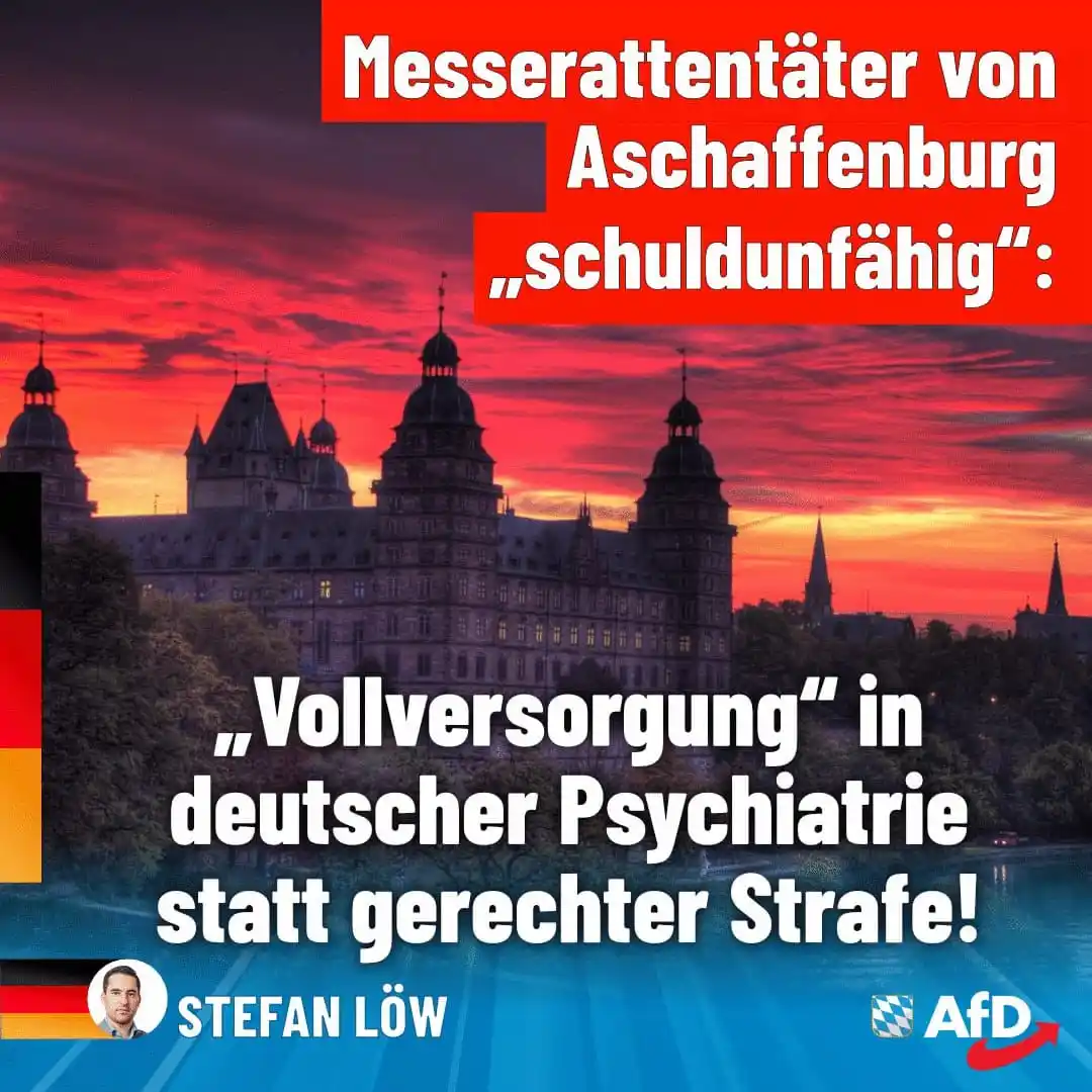 Image from AfD Weiden-Neustadt-Tirschenreuth: Messerattentäter von Aschaffenburg soll schuldunfähig sein: Sicherungs...