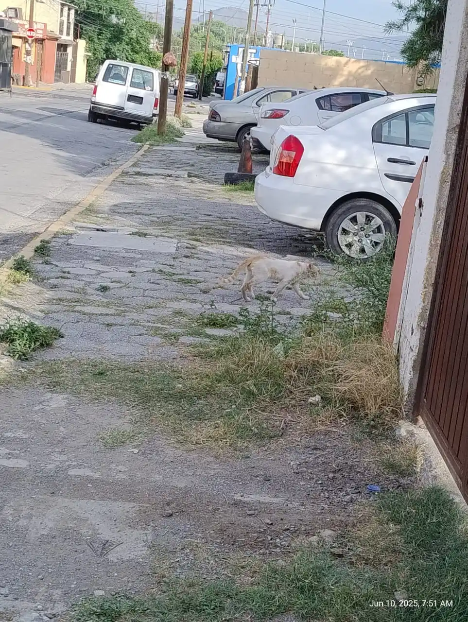 Fans De Nico & Anecdotas Random post