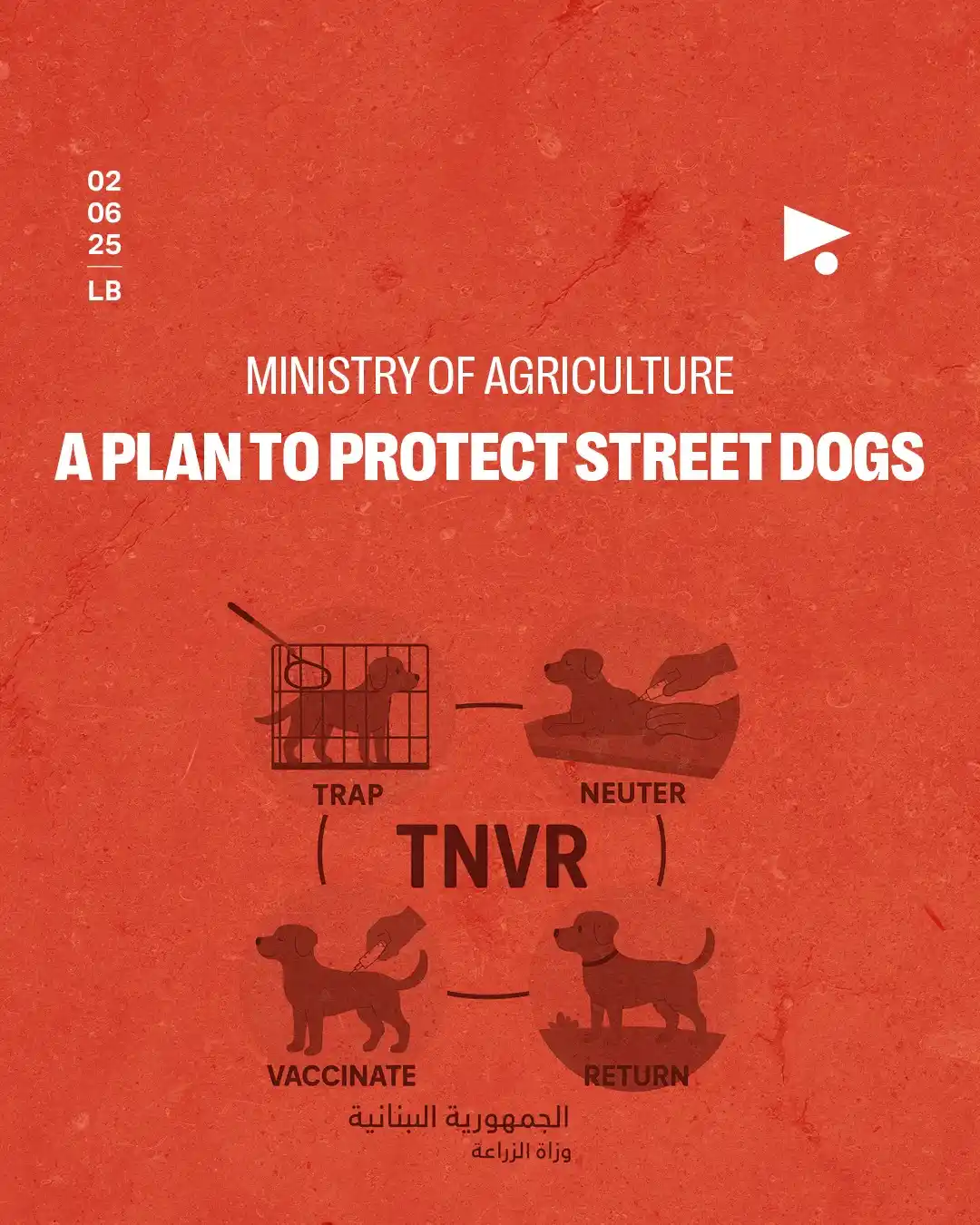Image from Megaphone News: _News_ | *Ministry of Agriculture* *A plan to protect street dogs*👇 ...