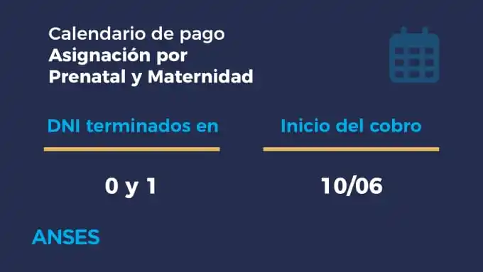 Image from INFO Y CONSULTAS ANSES ( OFICIAL ): PRENATAL Y MATERNIDAD...