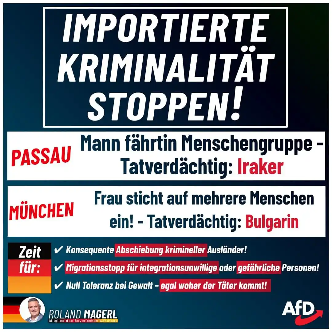 Image from AfD Weiden-Neustadt-Tirschenreuth: 🚨 Wieder Zwei brutale Gewalttaten – zwei Tatverdächtige mit Migration...