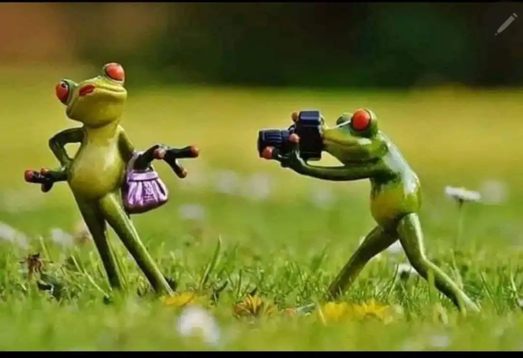 Image from نكت ملصقات منوعه😅🙈 صور فديوهات اخبار حب الله قران الحدث حزن حالات خلفيات بنات تحفيز ستوريات العاب سك: البنات ثاني ايام العيد ههههههههههههههههههههههههههههههههههههههه بنات ه...