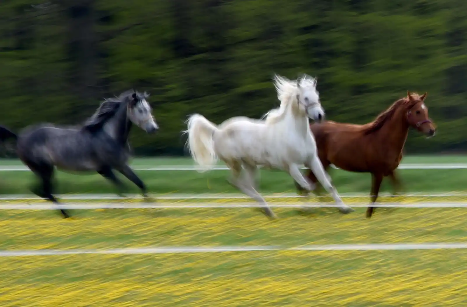 Image from HIT RADIO FFH: Das hatte ein bisschen was von einem Western-Film gestern Nacht auf de...