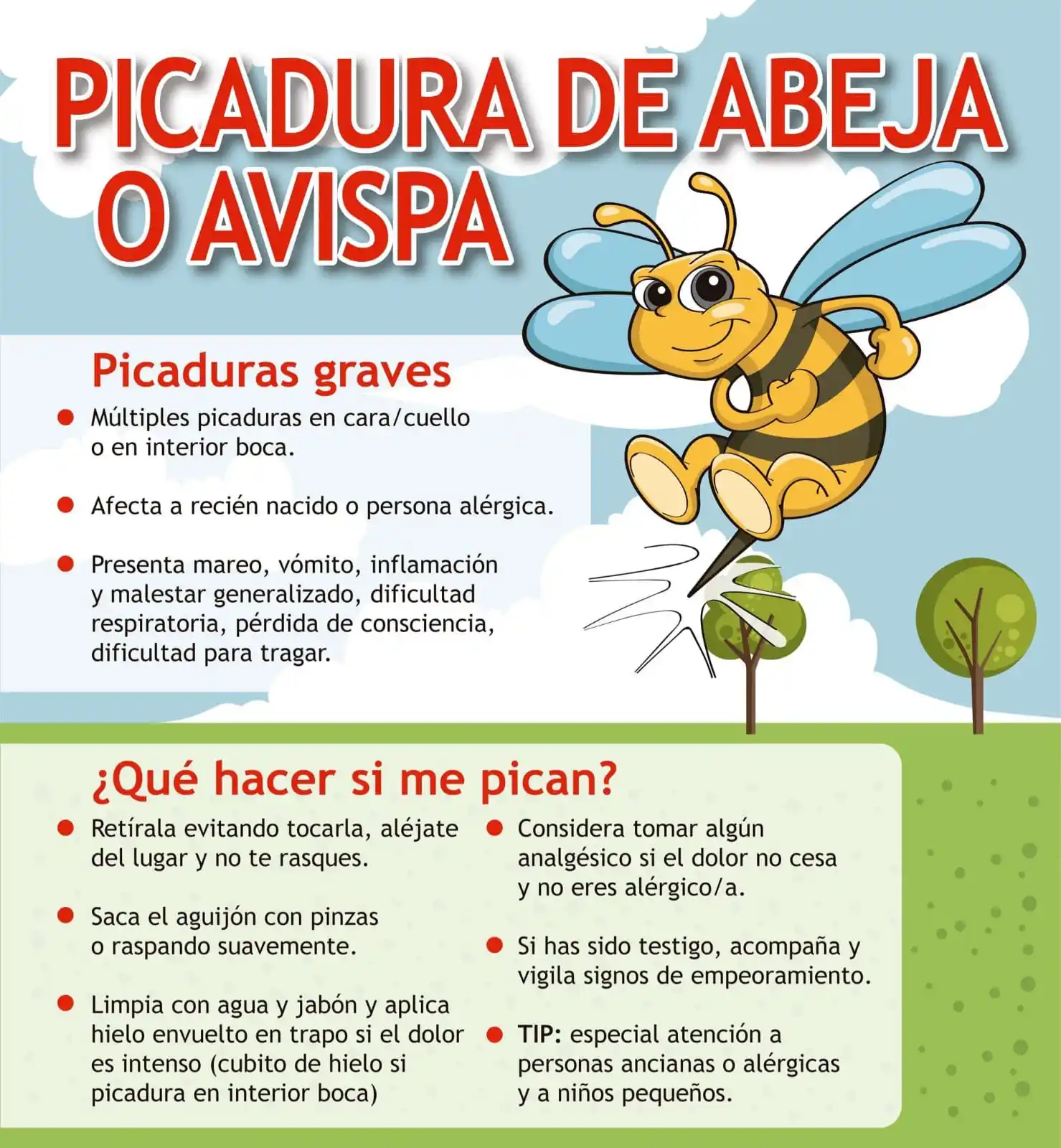 Protección Civil Bailén post