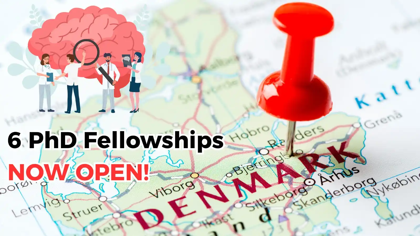 Image from Study Abroad Bulletin University Living : Calling future neuroscientists! 16 fully funded PhD fellowships in Den...