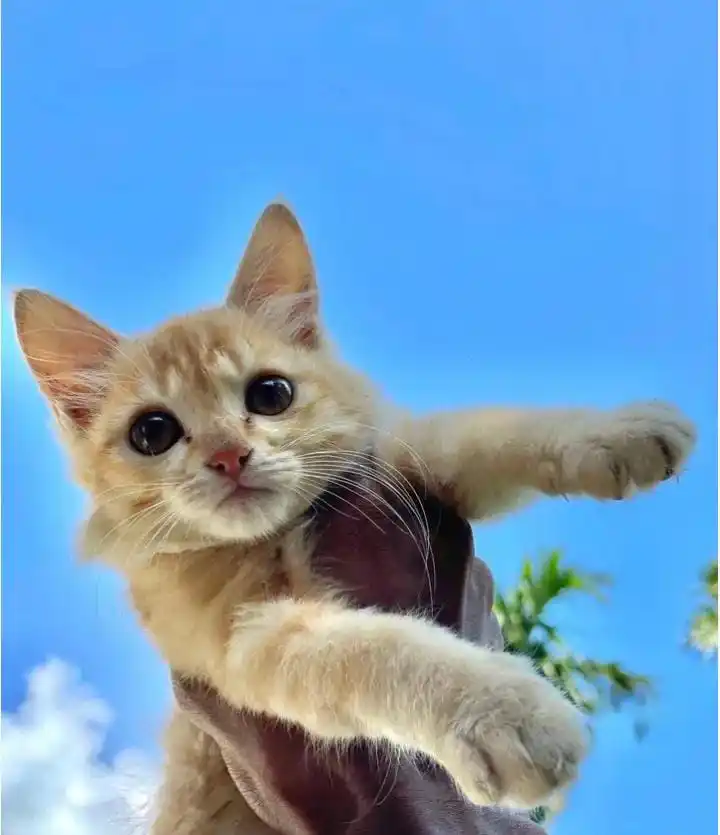 𝗦ea and 𝗦ky 𝗧ravel |♡ 🇱🇰 post