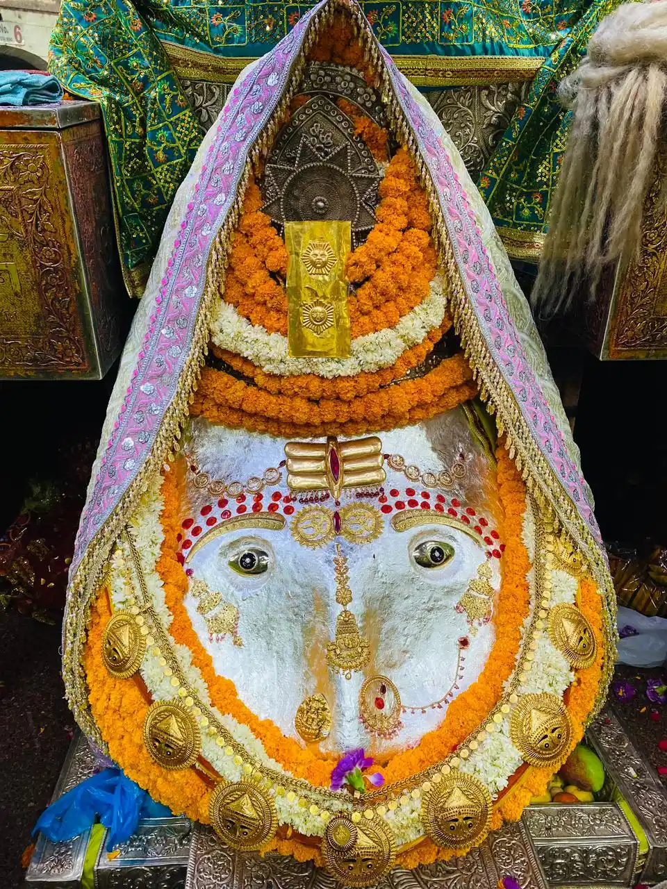 Shri Kalka Ji Mandir Prabandhak Sudhar Committee-SKMPSC post