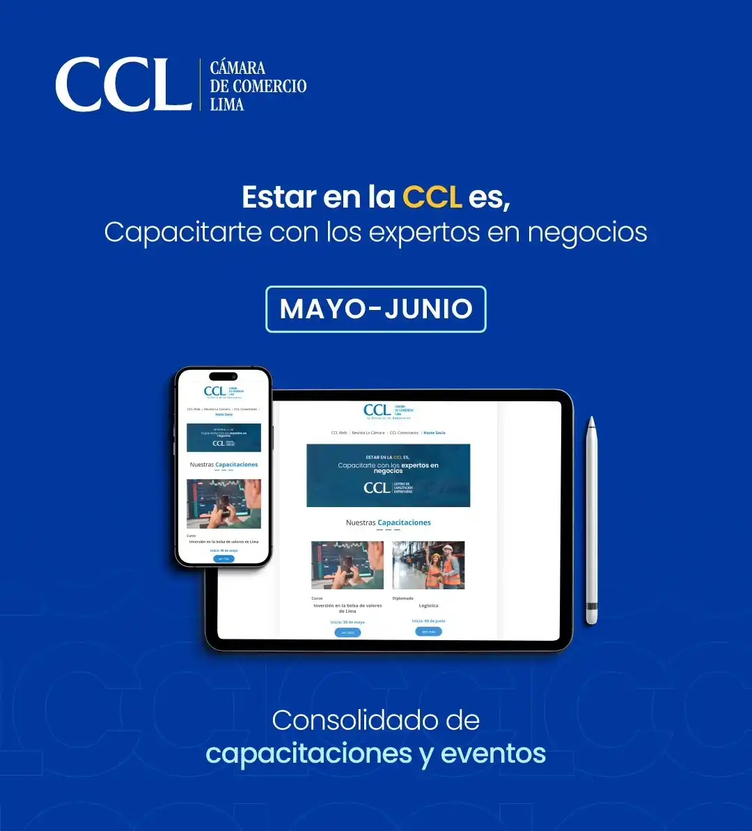 Cámara de Comercio de Lima post