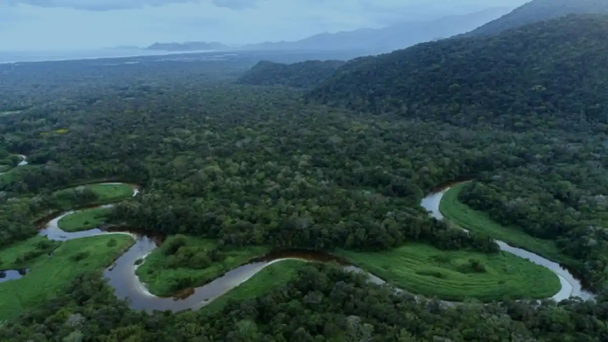Image from Portal Costa Norte | notícias do litoral paulista : *Nova medida muda o mapa de proteção ambiental em SP com mais 400 hect...