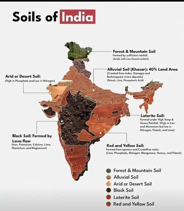 Image from UPSC MAP : ✅ Soil map of India ✅ *Alluvial Soil* *Formation*: Deposited by rive...