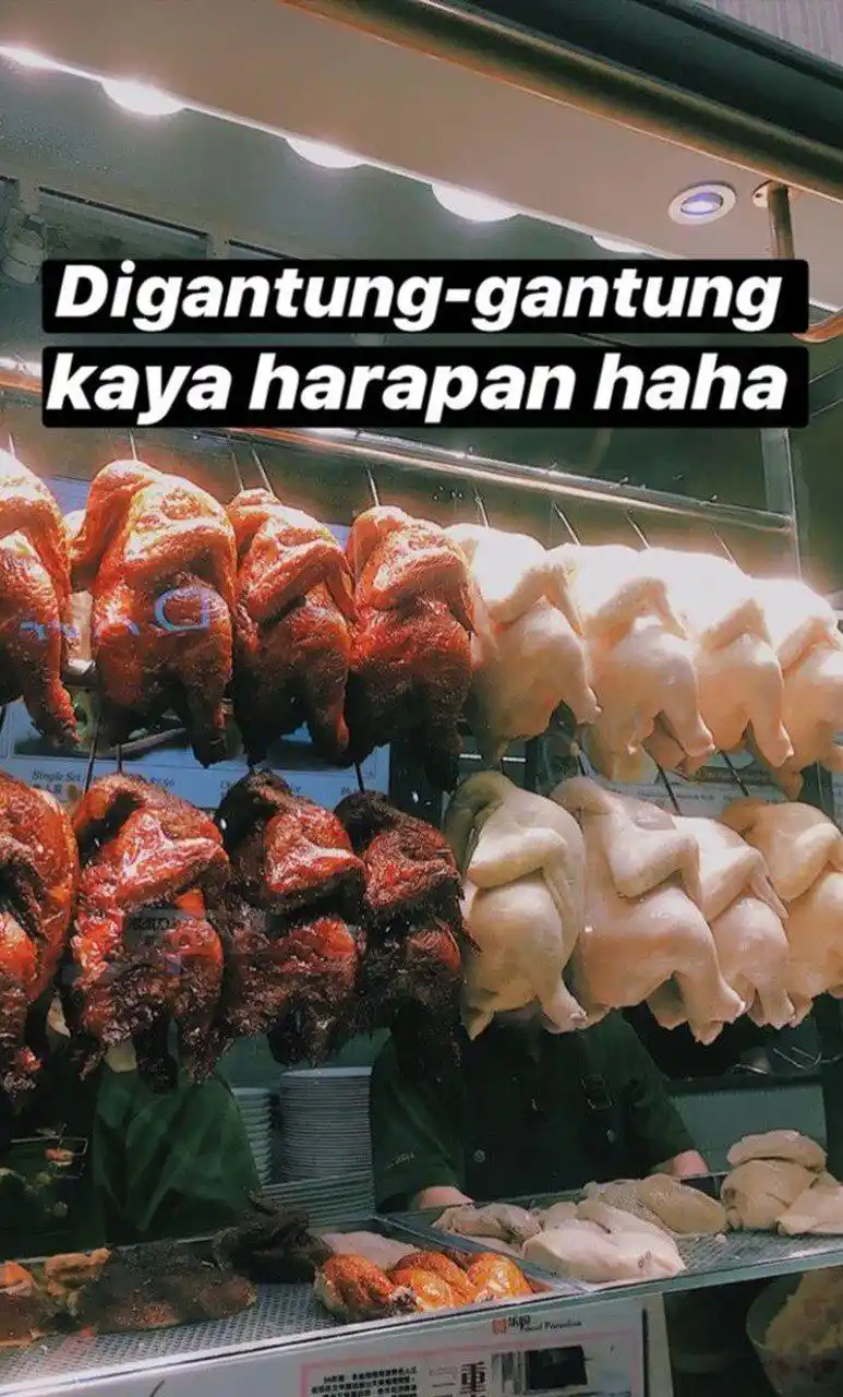 𝗔𝗿𝗮𝗯𝗶𝗰 𝗩𝗶𝗯𝗲𝘀 🎧 post