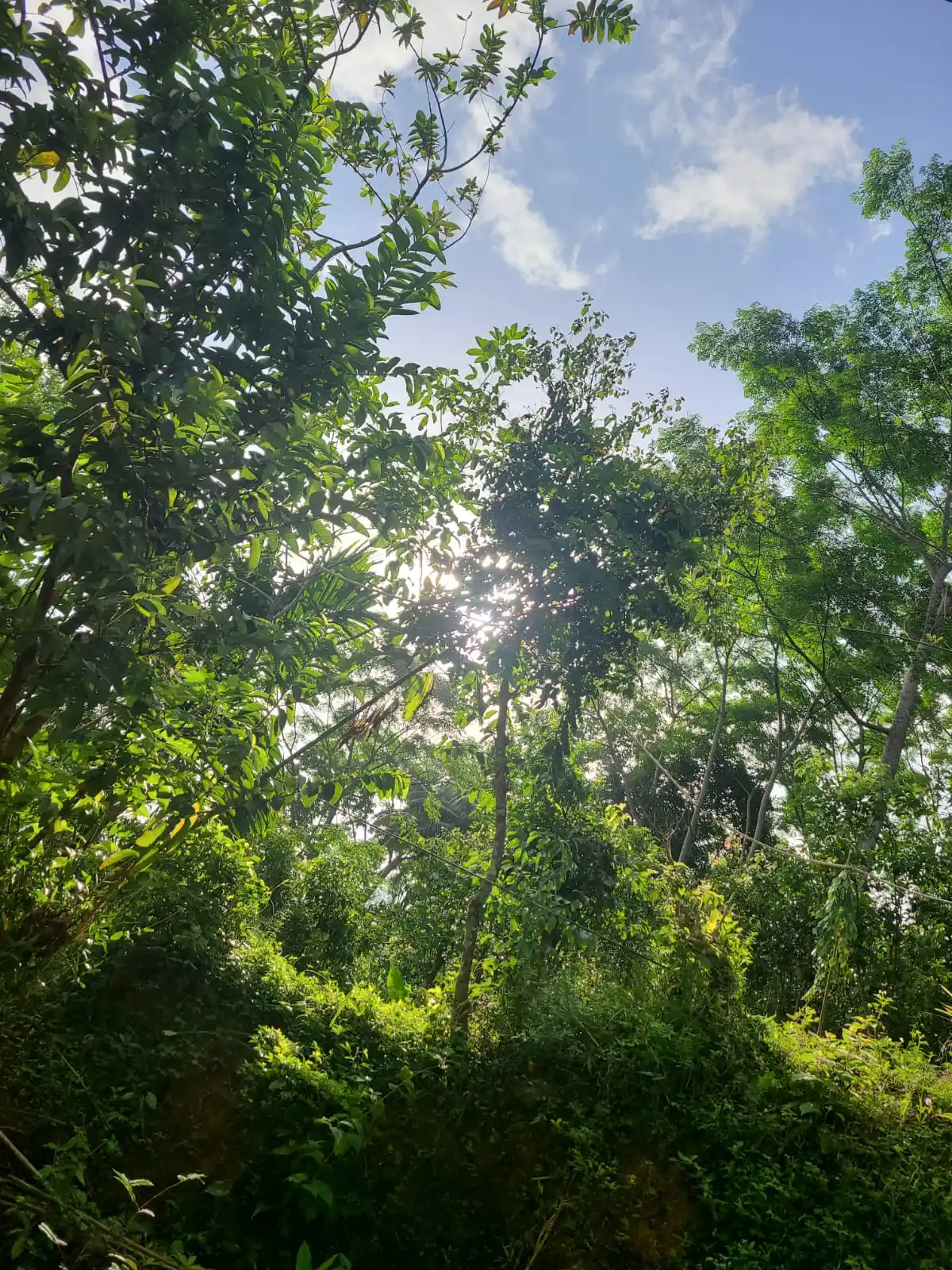 𝗦ea and 𝗦ky 𝗧ravel |♡ 🇱🇰 post