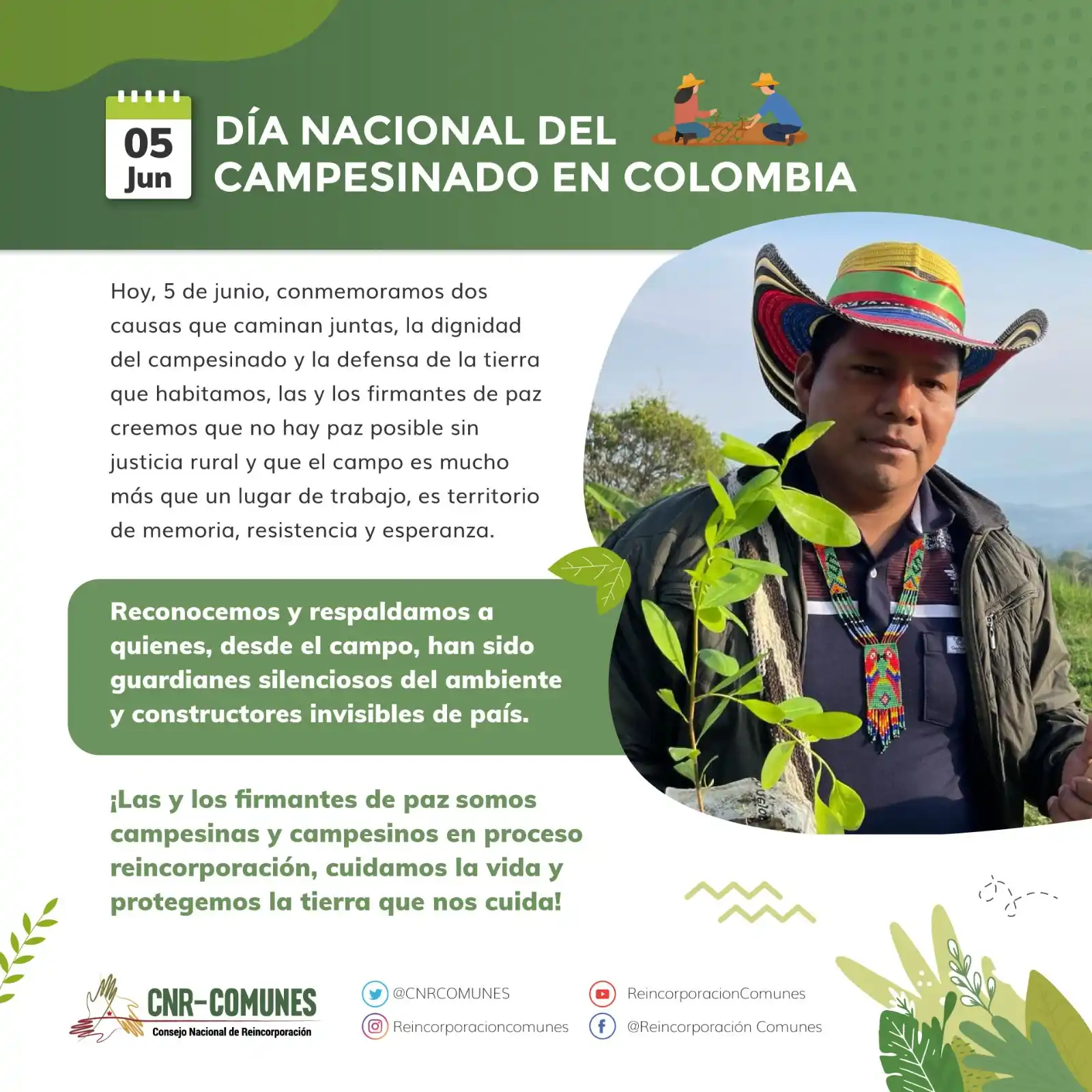 Image from Reincorporación Al Dia: 🌱 <a class="text-blue-500 hover:underline cursor-pointer" href="/hash...