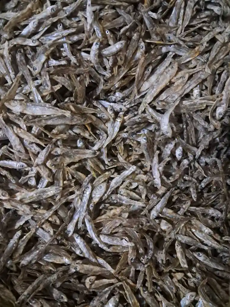 Kariba Fish And Matemba post