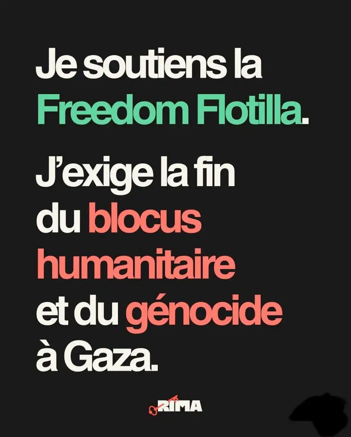 Image from Paul Vannier: 🇵🇸 Soutien à Rima Hassan, à tous les militants pour la Palestine et...