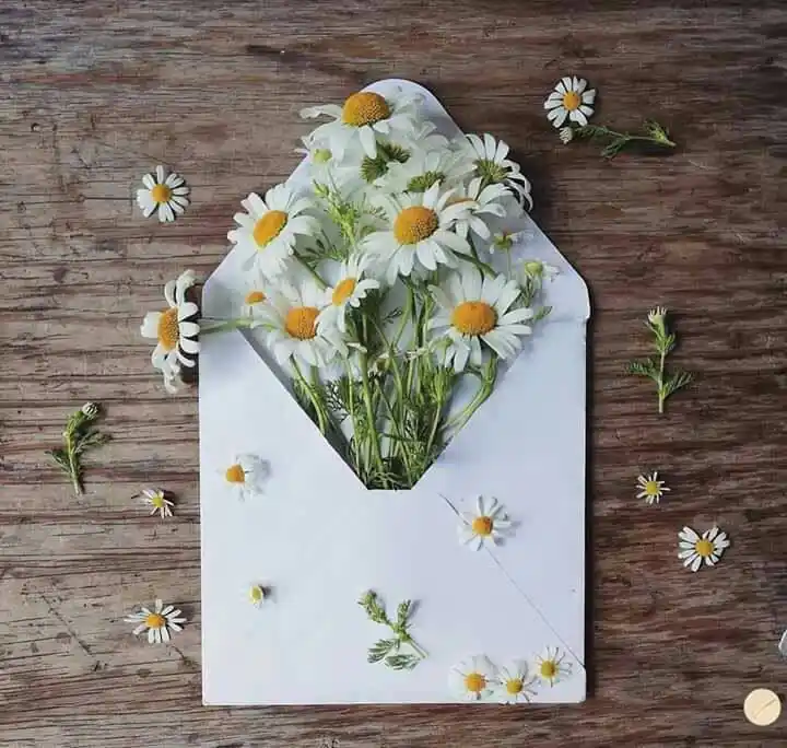 Image from عائلتي🌹: المرأة المتزوجة برجلٍ رسالي لابد أن تكون على مستوى متميّز من الصبر ونك...