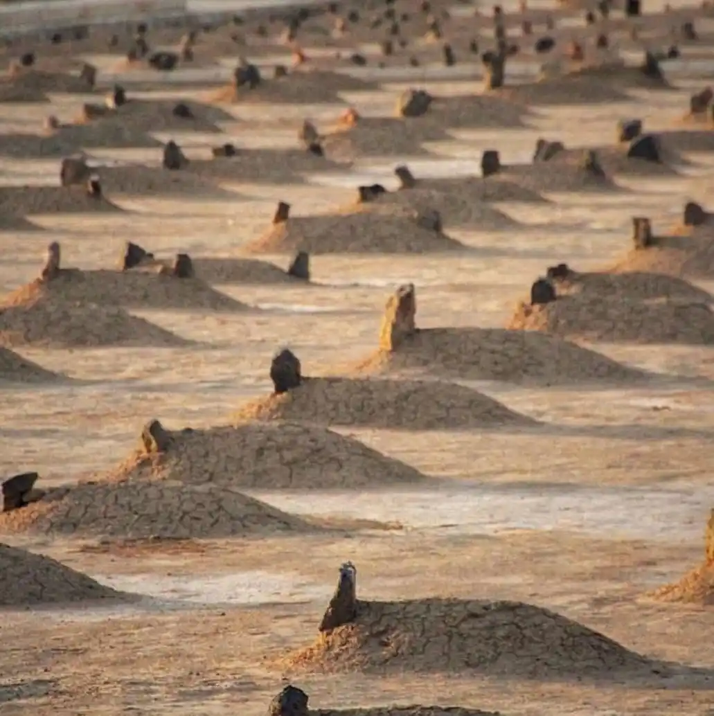 Image from قناة الداعية أسماء عياش...وعجلت إليك رب لترضى: الميِّت الذي طرَأ على بالِك للتَّو كان كـ إيَّاك في حياتِه يسعَى ويَجت...