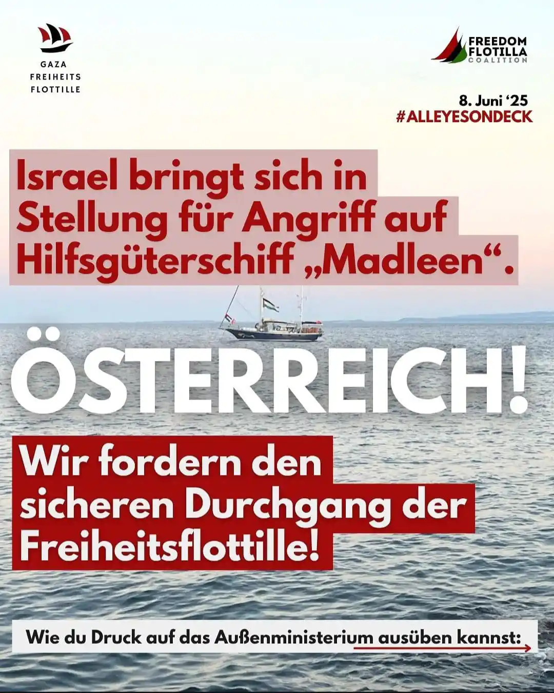 Image from Palästina Solidarität Österreich 🇵🇸: *Du kannst auch Druck auf das Außenministerium ausüben, um den sichere...