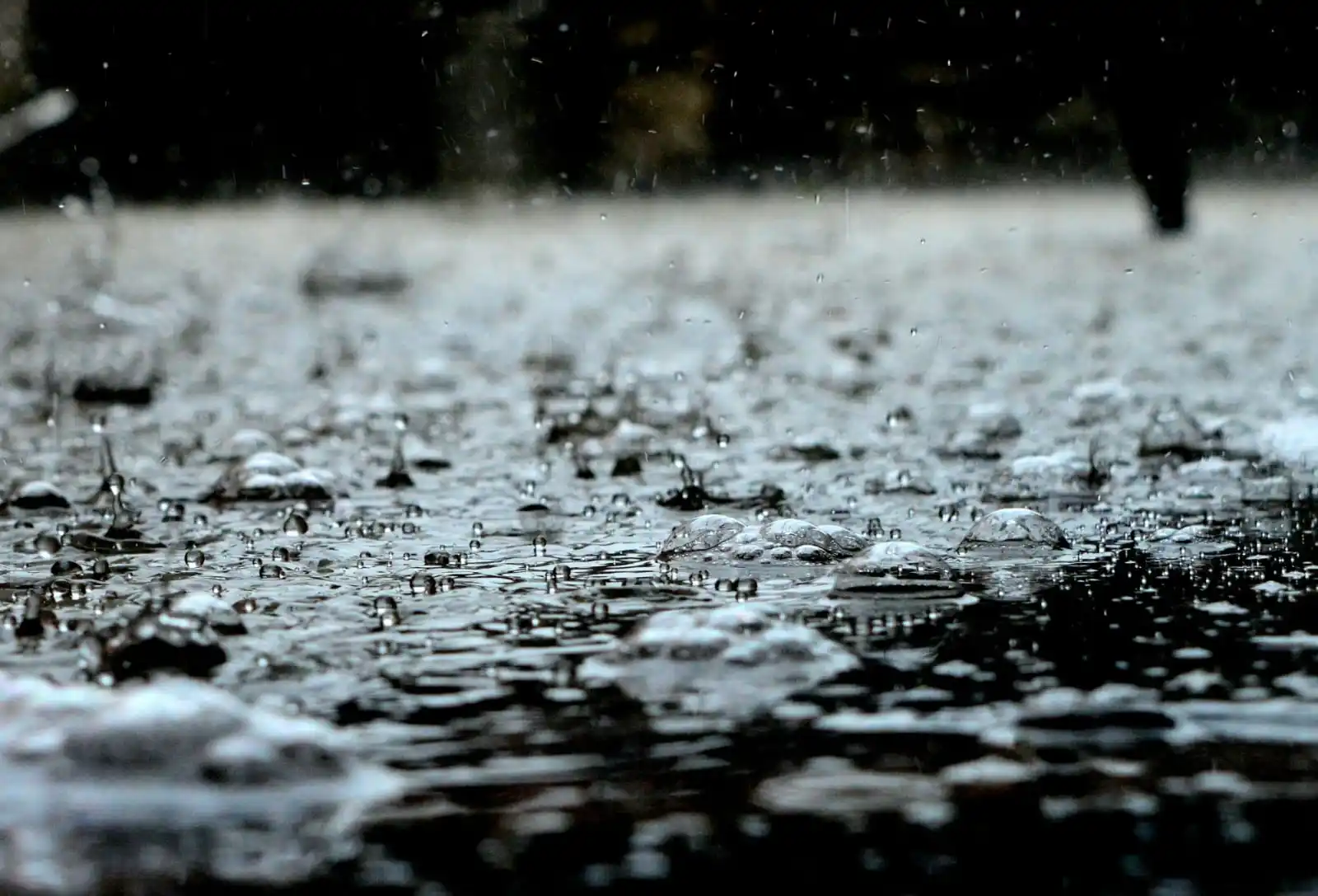 Image from MSC Walldorf Infokanal: Regen Regen Regen und Regen in Walldorf... Wer von euch hat seinen Te...