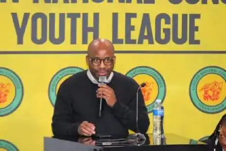 Image from African National Congress: The ANC Youth League International Relations Subcommittee and the Comm...