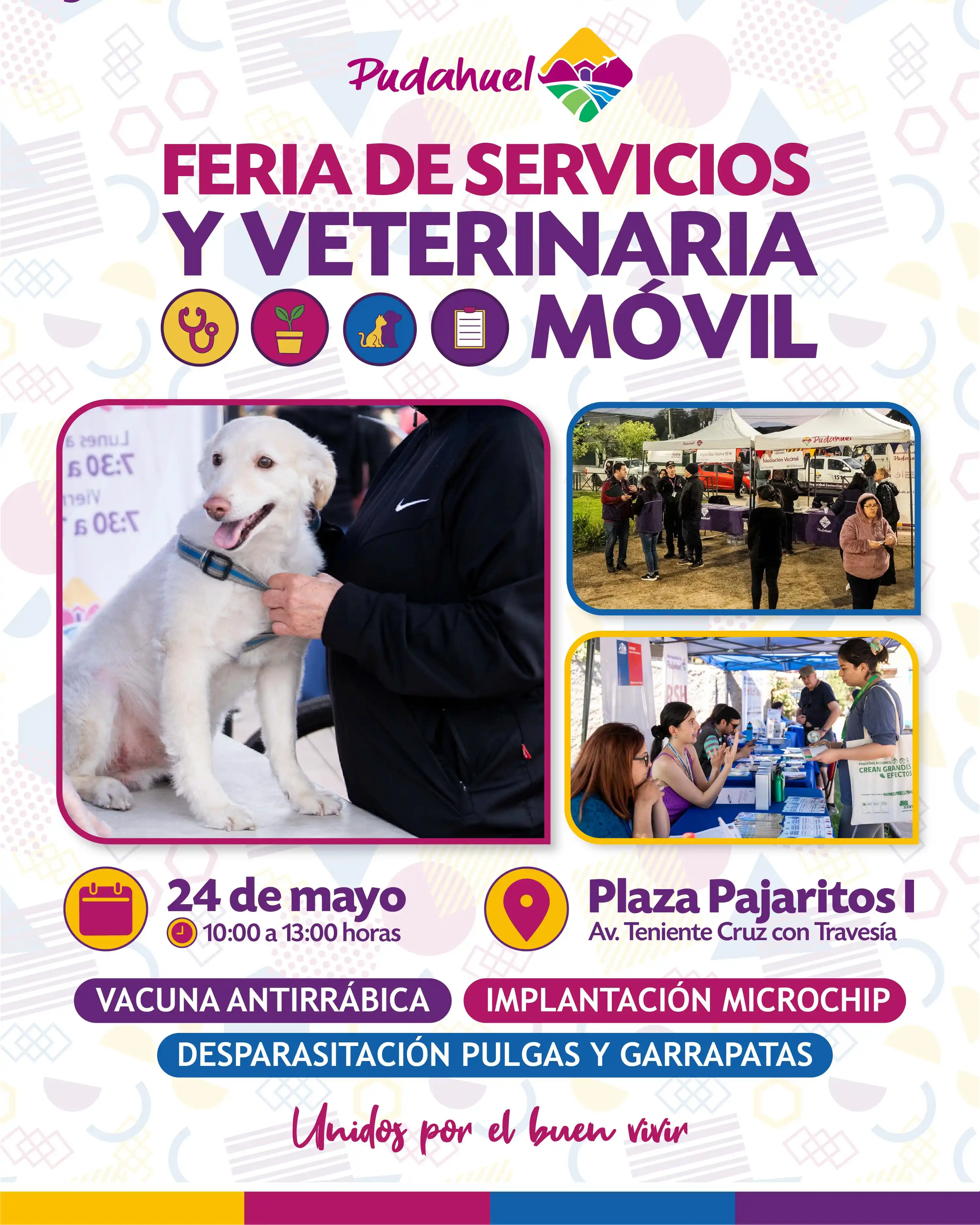 Image from Ilustre Municipalidad De Pudahuel: 🐶FERIA DE SERVICIOS Y VETERINARIA MÓVIL EN PUDAHUEL😽 📍Este sábado ...