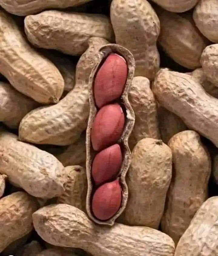 उड़ान 👍💃☀️💯🐎🎓↙️🎯 🇮🇳 post