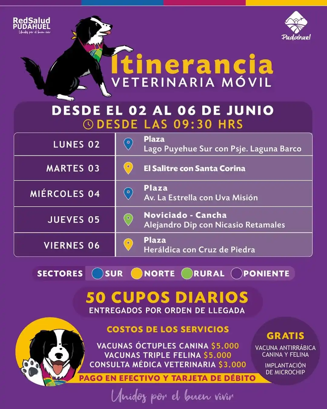 Image from Ilustre Municipalidad De Pudahuel: MASCOTAS SANAS CON OPERATIVOS VETERINARIOS 🐾 Consulta el calendario ...