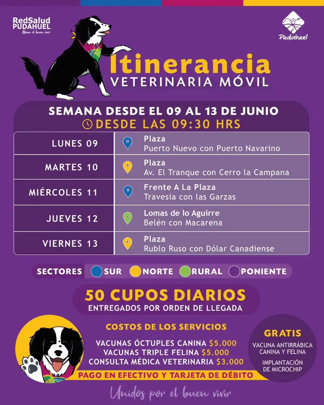 Image from Ilustre Municipalidad De Pudahuel: MASCOTAS SANAS CON OPERATIVOS VETERINARIOS 🐾 Consulta el calendario ...