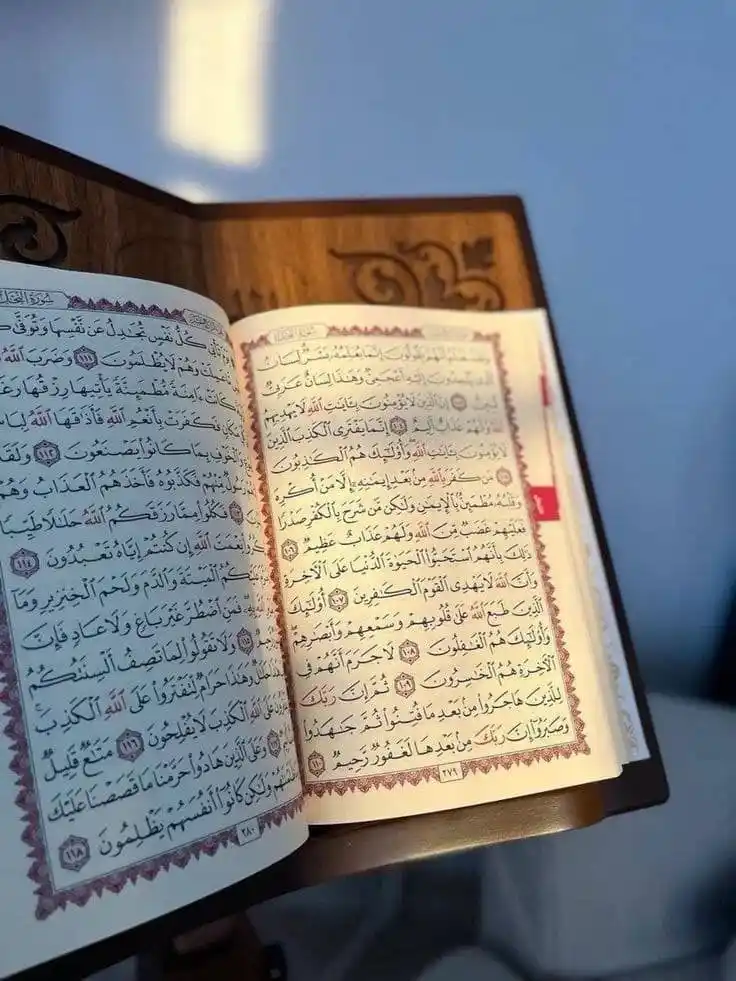 Image from قطوف السلف🤍🌸: `وردكم اليومي`🫂 *«الرابحُ من أفنى عمره مع القــــرآن* *طالبًا وتال...