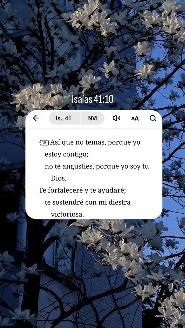 Resplandece ✨ post