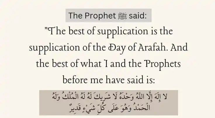 Mentr (Formerly InSight MDCAT) post