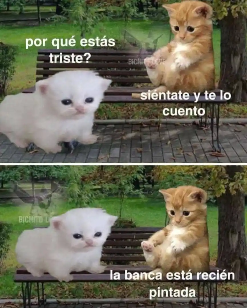 Memecilio🍕😜 post