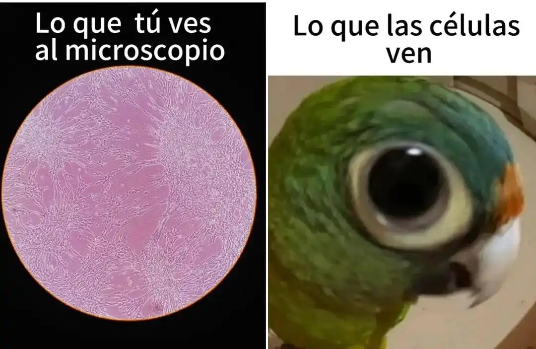 Adolescentes Identificandose.. post