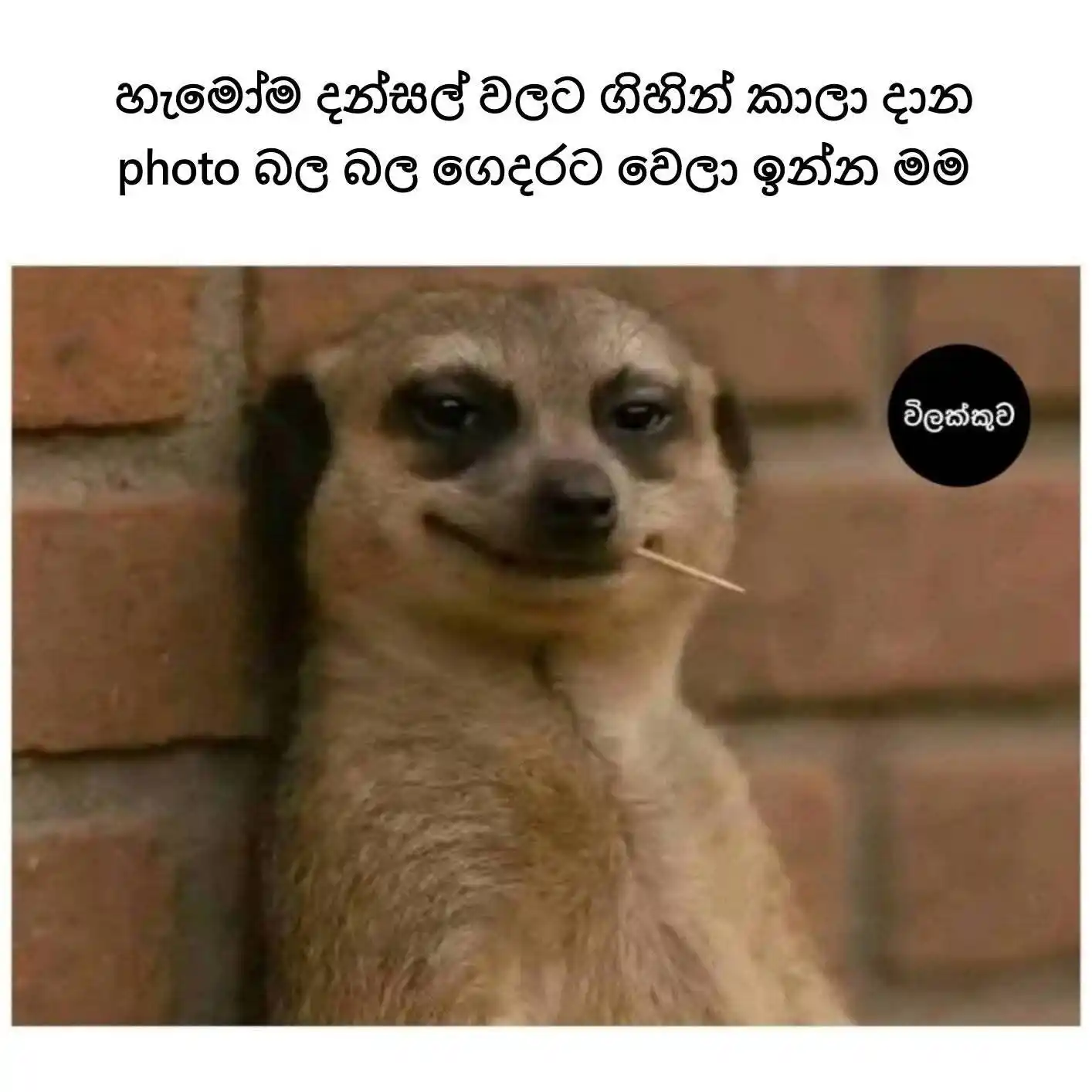 Dhanu Status Hub 🧸💗" post