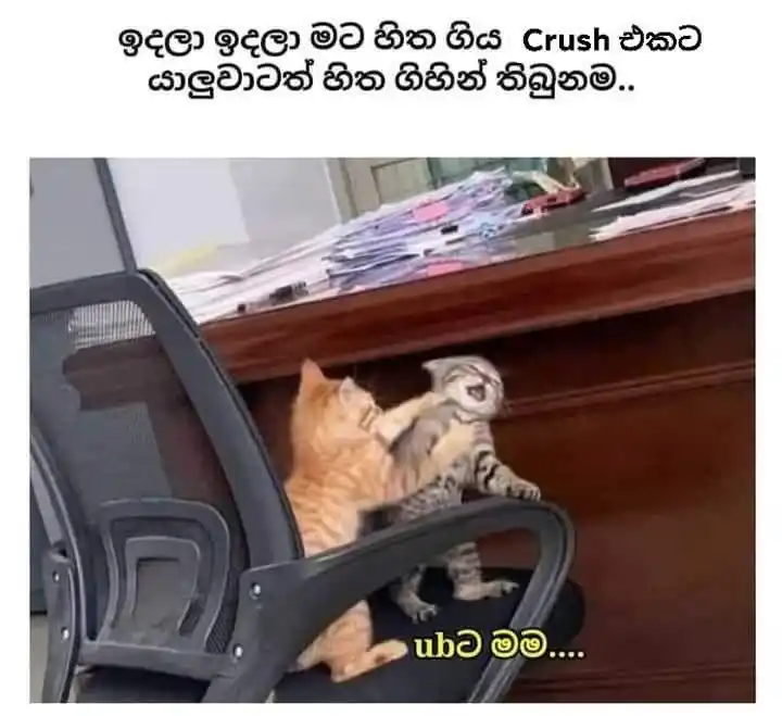 Dhanu Status Hub 🧸💗" post
