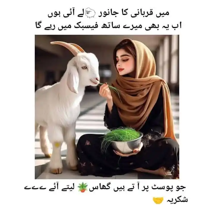 🥰 اردو لطیفے Urdu Funny Jokes
Latifey Comedy & WhatsApp Status, Tv & WhatsApp Channel 🤩 post