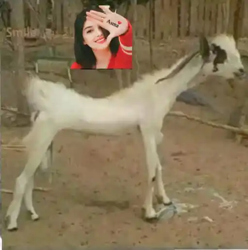 ❣︎اردو شاعری مزاحیہ لطیفے❣︎ Urdu Hindi Funny Jokes Comedy Memes FunRomantic Love Poetry Video Status post