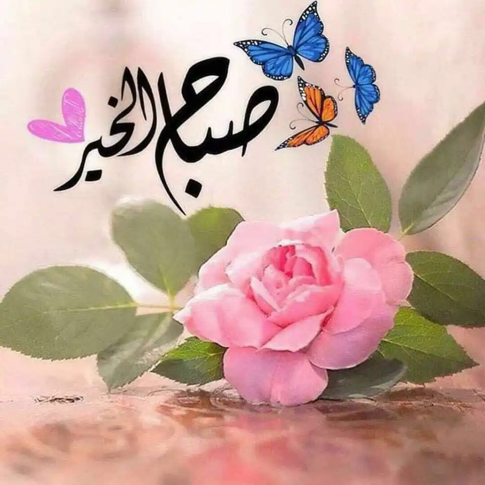 Image from ليَطْمَئِنَّ قَلْبِي🌷🤍.: *أروع الكلام* 🌷 🌷 *لا تختر صديق بدون فهم ولا تخسر صديق بسوء فهم* ...
